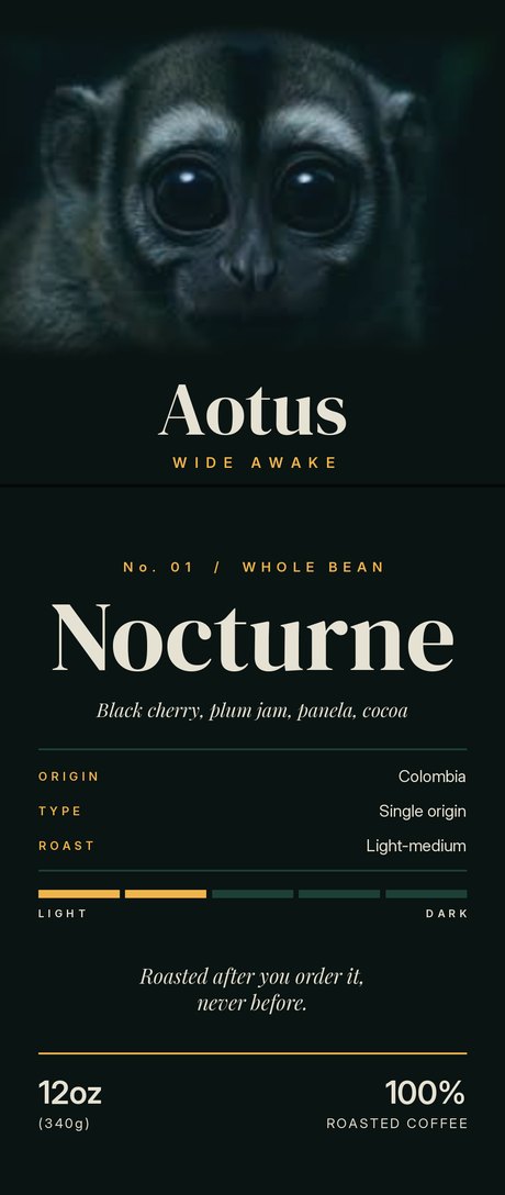 The Nocturne bag