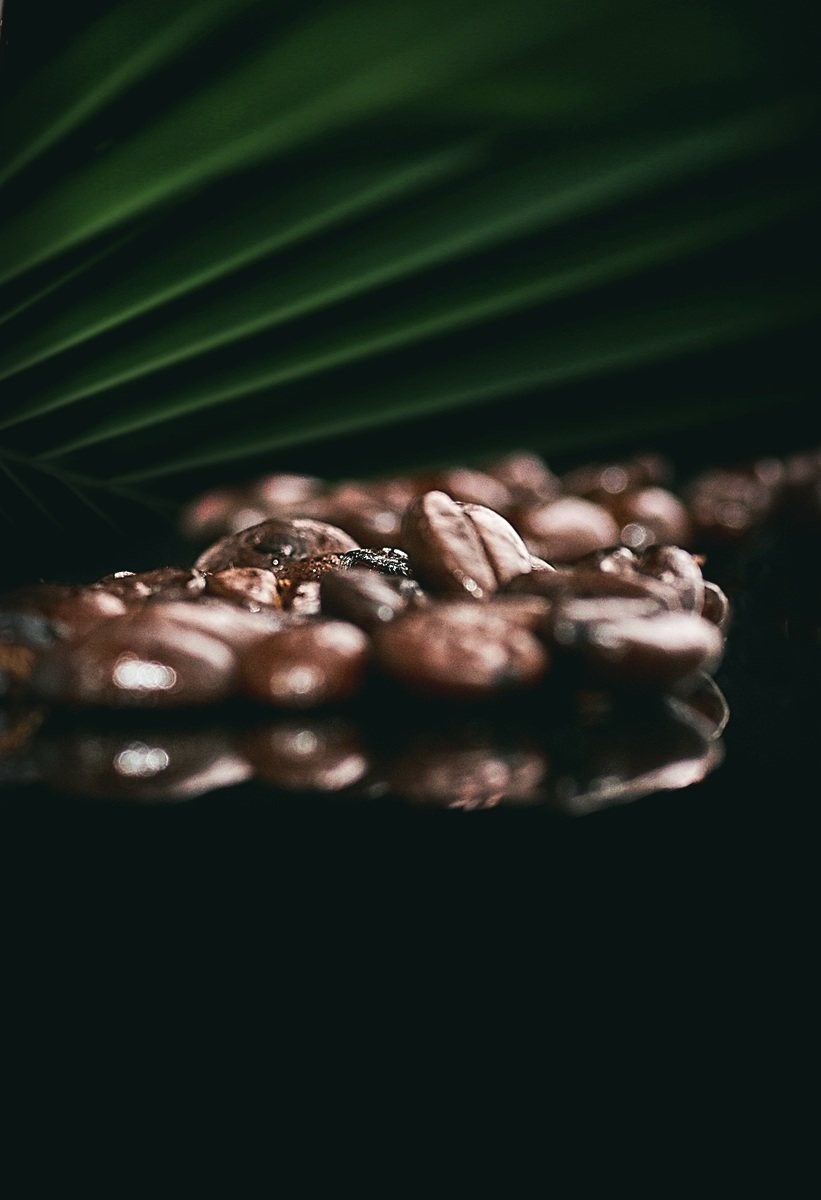 Roasted coffee beans on a dark surface beneath a palm frond